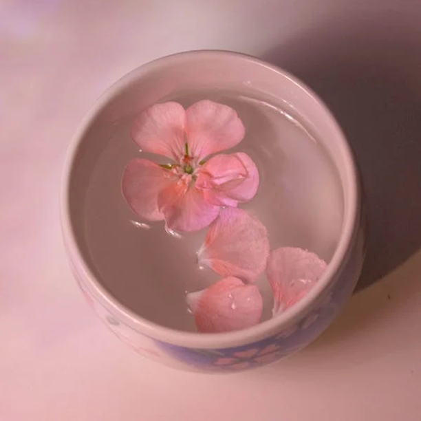 Aceite Esencial Geranio 5ml Katmandú