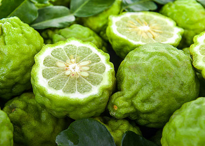 Aceite Esencial Bergamota 5ml Katmandú