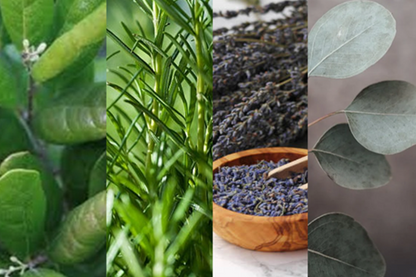 Guatero Multiuso de Semillas pequeño