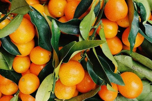 Aceite Esencial Mandarina Clementina 5ml Katmandú